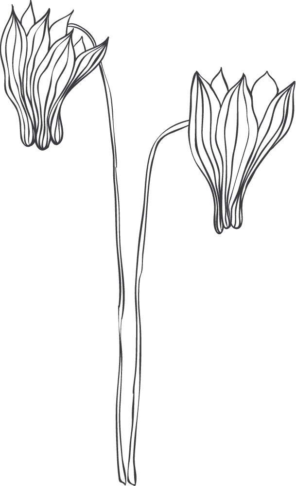 Blumenzeichnung, einfache Skizze, monochrome Illustration.
